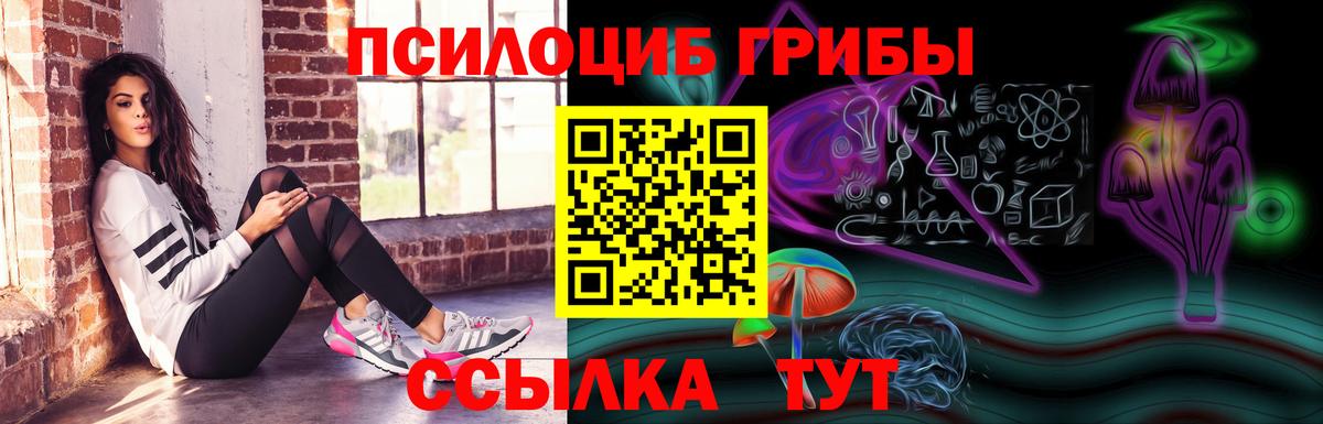 Псилоцибиновые грибы GOLDEN TEACHER Назрань